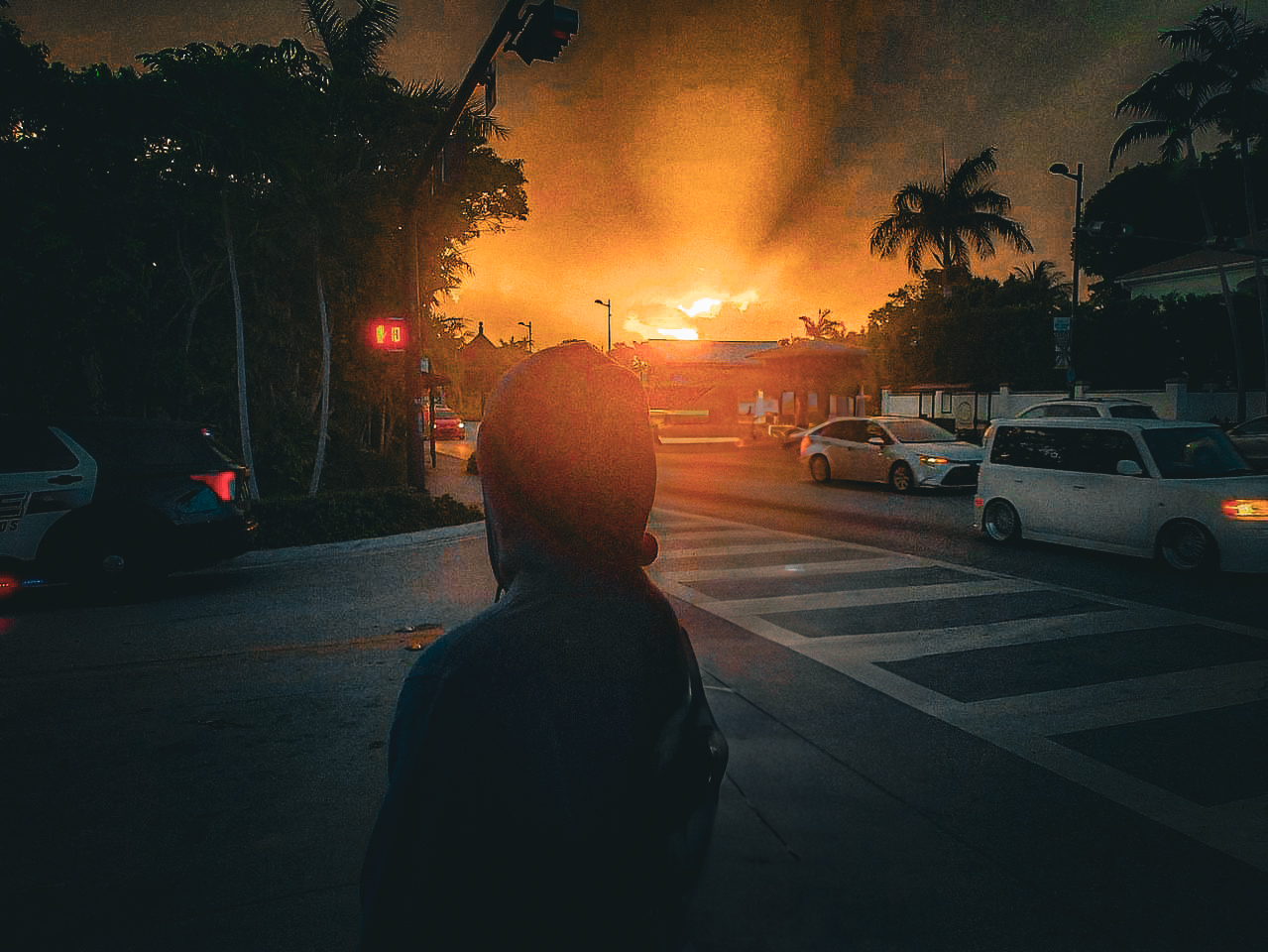 bruno, looking off into the sunset.